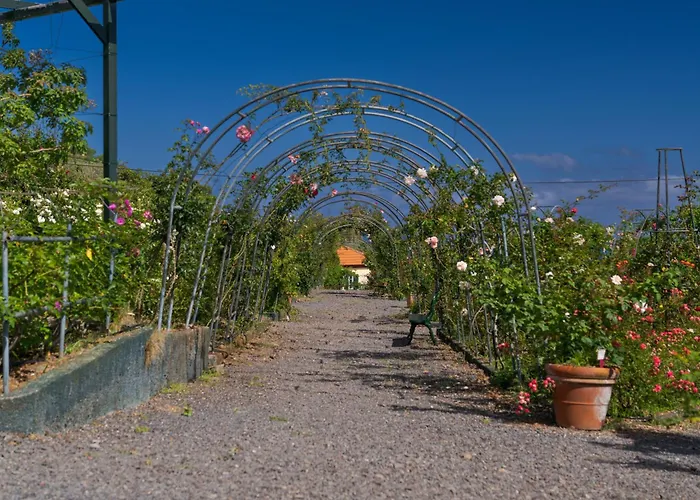 Pestana Quinta Do Arco Nature & Rose Garden Hotel