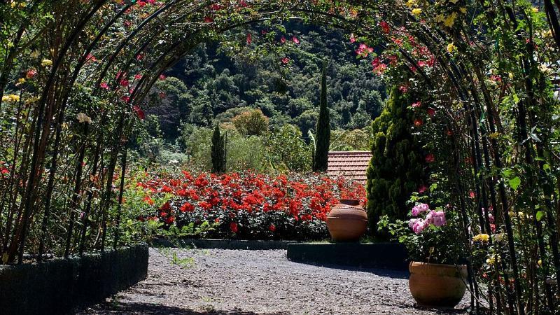 Aldeamento Turístico Pestana Quinta Do Arco Nature & Rose Garden