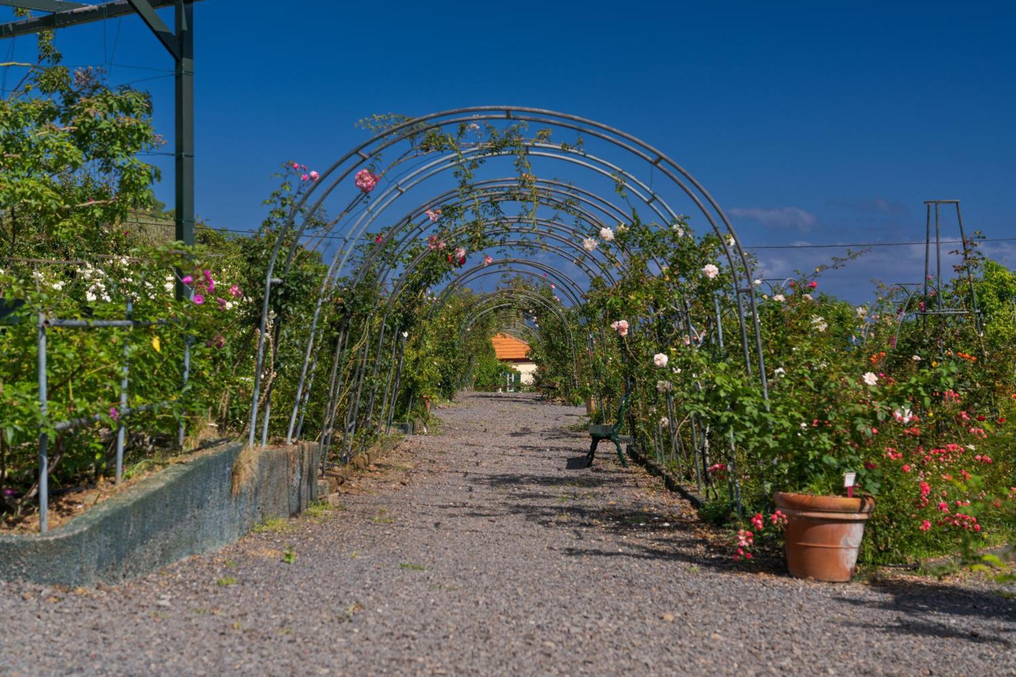 Pestana Quinta Do Arco Nature & Rose Garden