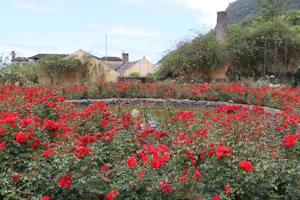 Pestana Quinta Do Arco Nature & Rose Garden Kompleks wypoczynkowy