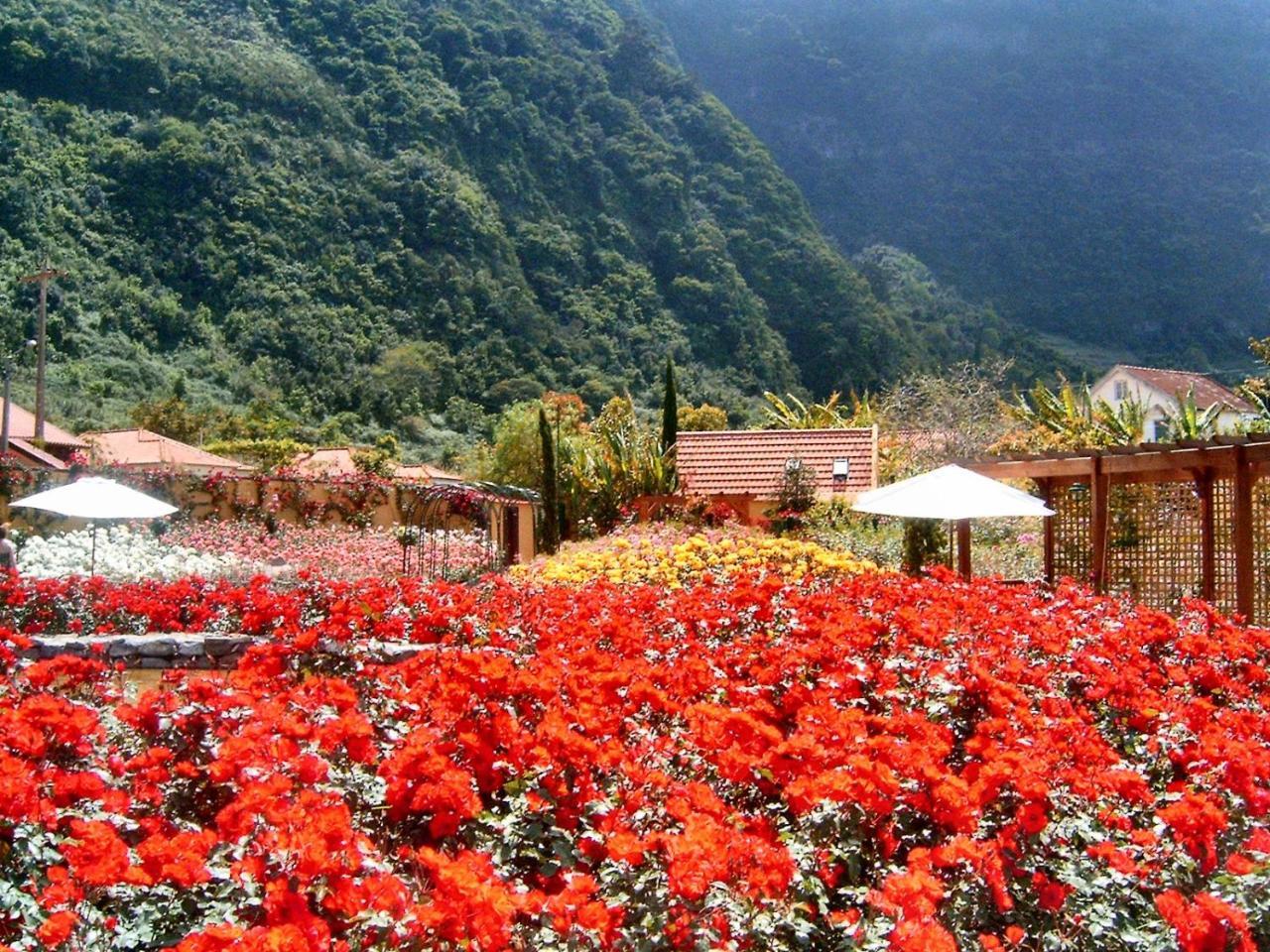 Parque de vacaciones Pestana Quinta Do Arco Nature&rose Garden 4*